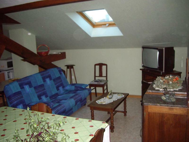 Apartment Du Frankenbourg